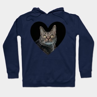 Kitty Love Hoodie